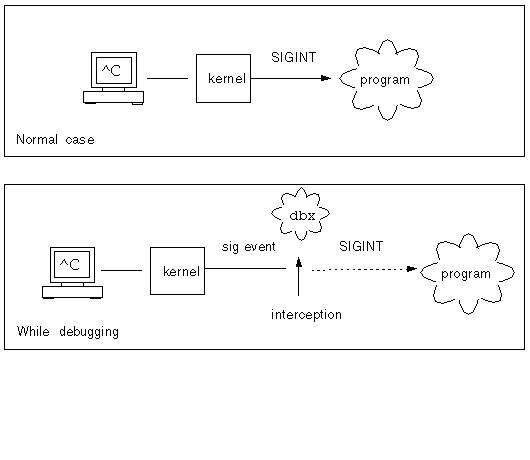 Diagram of the normal case where the signal is delivered and the debugging case where the signal is intercepted and cancelled by dbx.