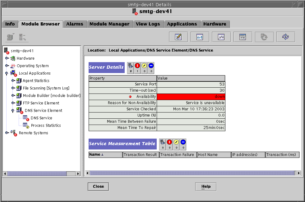 Dialog box of a DNS Service Element module. The preceding context describes the graphic.