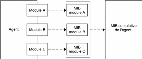 Diagramme illustrant un agent avec trois modules, chacun ayant une MIB, combiné en une unique MIB d'agent.