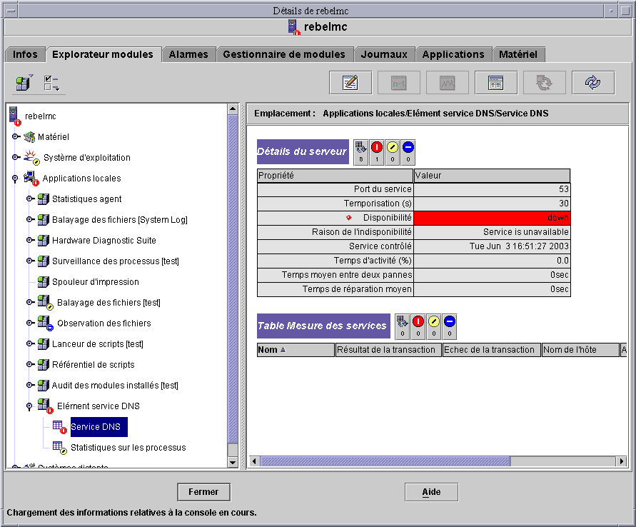 Boîte de dialogue d'un module Elément service DNS. Le contexte qui précède décrit la figure.