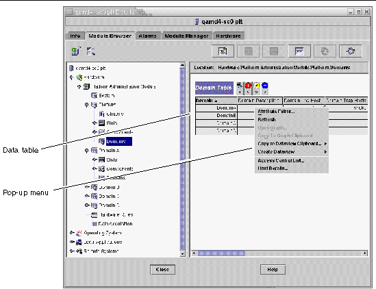 Screen capture of the Domain table in the Browser tab of the Details window. 