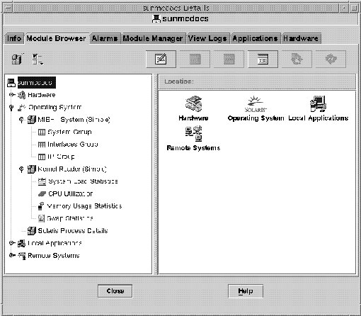 Details window with Module Browser tab selected shows information
about a host managed object