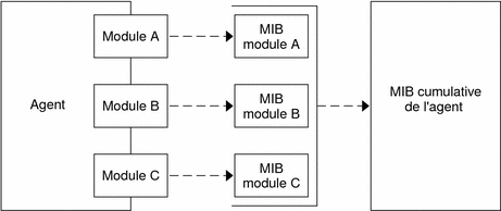 Diagramme illustrant un agent avec trois modules, chacun ayant une MIB, combiné en une unique MIB d'agents. 