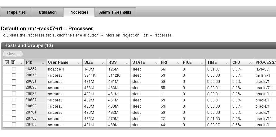 Processes table for an active project screen