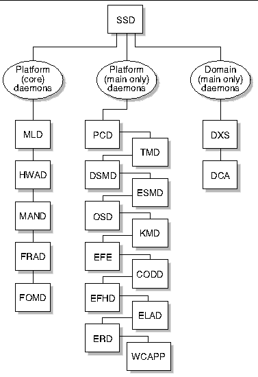 Figure depicting SSD client server relationships. 