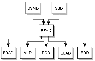 Figure depicting EFHD client server relationships. 