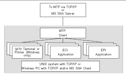 Diagram showing what processes run on a system hosting the Sun MTP Client.
