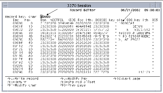Screen shot of the Record Editor screen showing how a record is added. An arrow points to the Record key field, and another arrow points to the offset field.