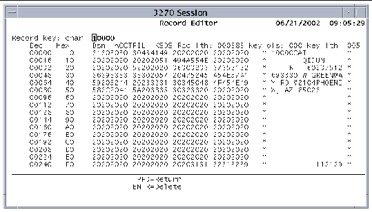 Screen shot showing a record to delete on the Record Editor screen.