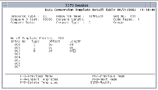 Screen shot showing example entries in the Data Conversion Templates Detail Table.