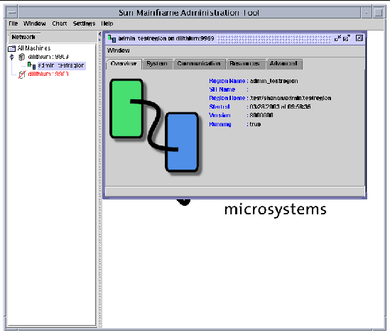 Screen shot showing the region window with the Overview tab displayed.