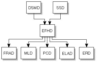 EFHD におけるクライアントサーバーの関係を示した図