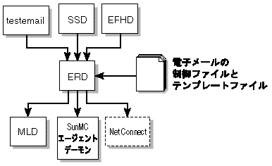 ERD におけるサーバークライアントの関係を示した図