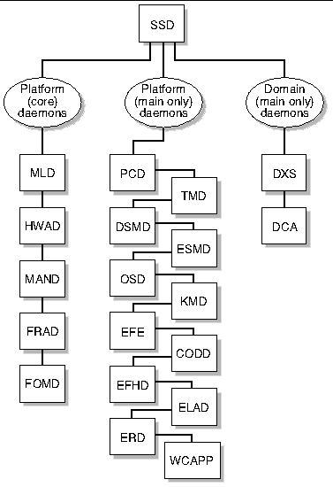 Figure depicting SSD client server relationships. 