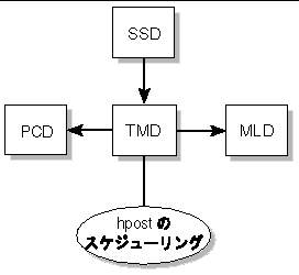 TMD ǤΥ饤ȥСδط򼨤