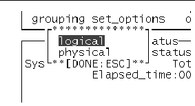 Screenshot of the SunVTS TTY grouping menu which displays the logical and physical options.