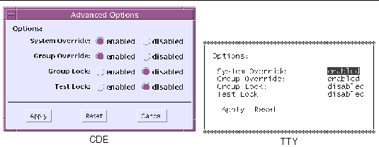 Screenshots of both the SunVTS CDE and TTY Advanced Options dialog boxes.