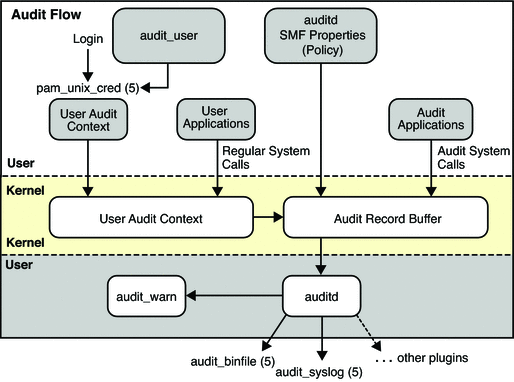 Graphic shows identification and authentication for auditing,
then the flow from audit class preselection to plugin output.