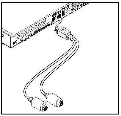 Figure shows which socket on the rear panel to plug in the Y adapter to enable the user to use both a mouse and a PS/2 keyboard with the server.