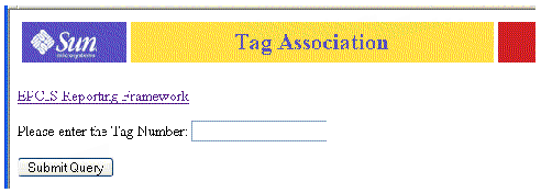 Screen capture showing RFID Tag Association Report query prompt. Tag Number text field is empty. Button is Submit Query.