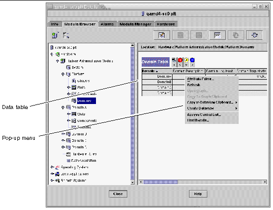 Screen capture of the Domain table in the Browser tab of the Details window. 