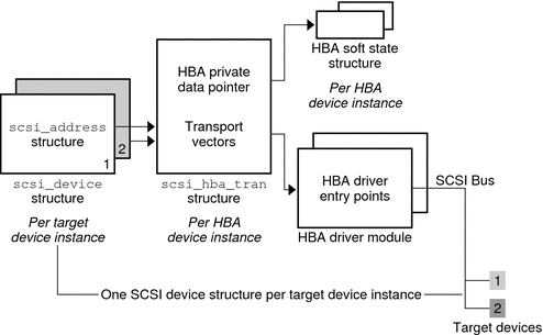 Diagram shows the relationships of structures involved
in the HBA transport layer.