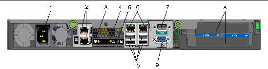 Figure showing the back panel and optional graphics cards for the server.
