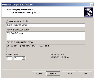 Screenshot of CA Idntifying Information screen of the Windows Components Wizard.