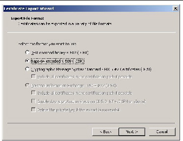 A screenshot showing the Certificate Export Wizard.