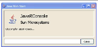 Graphic showing the Java Web start screen.