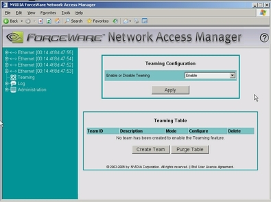 Graphic showing the Teaming Wizard screen. Graphic showing the Teaming Wizard screen.
