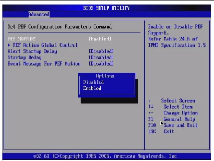 Graphic showing BIOS Setup Utility: Advanced -PEF