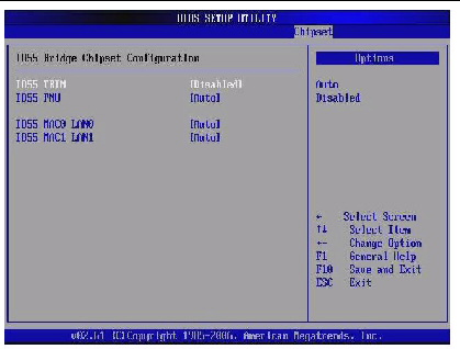 Graphic showing BIOS Setup Utility: I055 Bridge Configuration