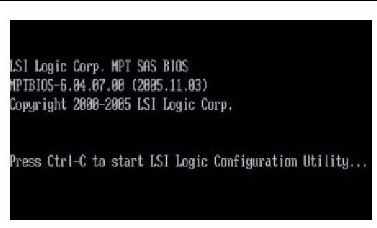 Figure showing the LSI BIOS message.