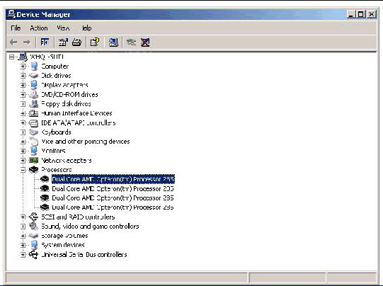Screen shot of the Device Manager Processor list