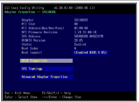 Figure showing main screen of the SAS BIOS CU.