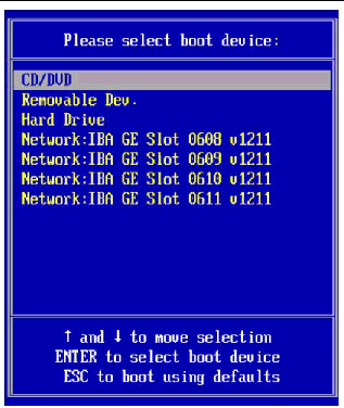Screenshot of Boot Device Menu, including devices and available network slots