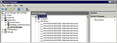 image:Graphic showing multipath disks in Device Manager