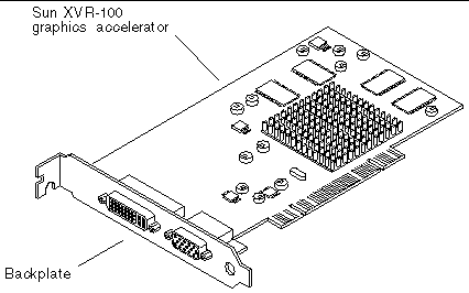 Figure showing the Sun XVR-100 graphics accelerator.