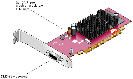 Figure showing the full-height type Sun XVR-300 graphics accelerator.