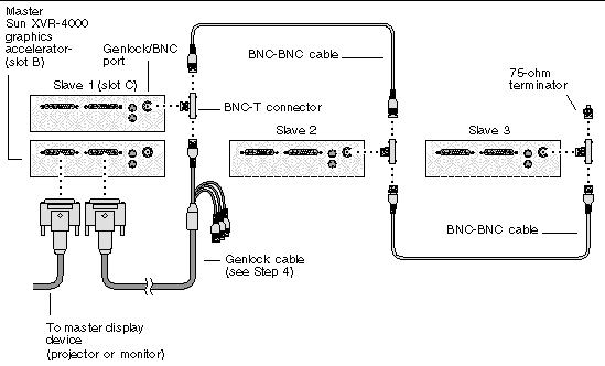 Figure showing genlocking between a master and two slave Sun XVR-4000 graphics accelerators.