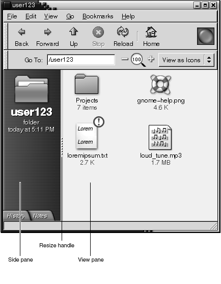 Nautilus File Manager window. Contains a side pane, view pane, and a resize handle between the panes.
