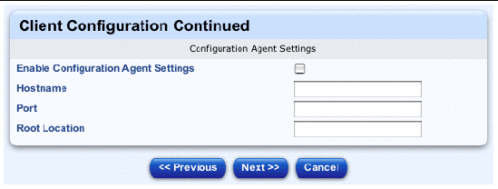 This screenshot shows the second table for editing the client-configuration information; the buttons are Previous, Next and Cancel. 