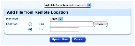 This screenshot shows the table for adding a file from a remote location; the buttons are Upload Now and Cancel.