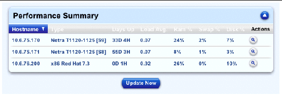 This screenshot shows a sample of the Performance Summary table.