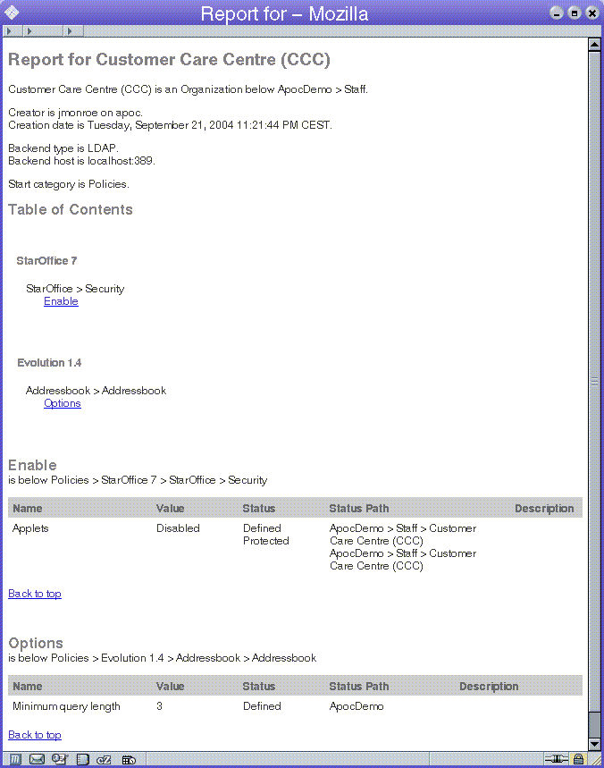 Report window