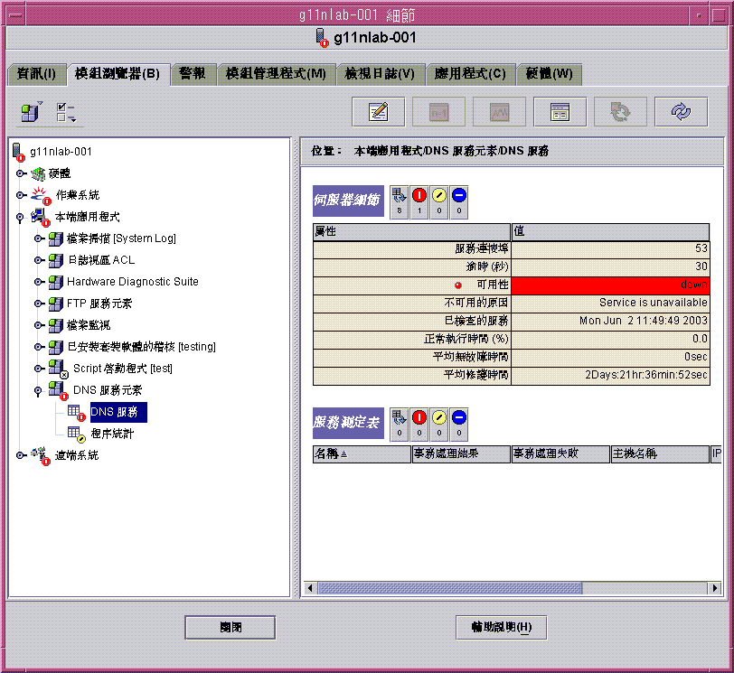 DNS 服務元素模組的對話方塊。上文有說明該圖形。