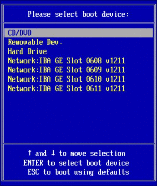 例としてローカル CD ドライブが選択された「Boot Device (起動デバイス)」メニューの画像。