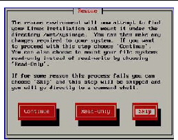 A screenshot showing Red Hat Rescue screen.