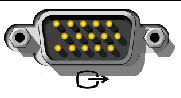 Figure showing the video port (VGA). 